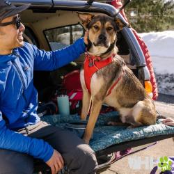 Collar De Cuerda Ruffwear Para Perros Knot-A-Collar