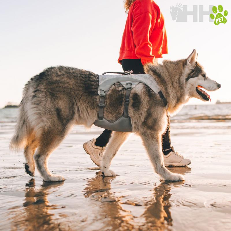 Arnes Refrescante Ruffwear Para Perros Swamp Cooler