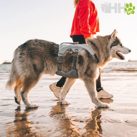 Arnes Refrescante Ruffwear Para Perros Swamp Cooler