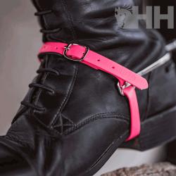 Correa Espuela Inglesa Sprenger Basic Biothane (Par)