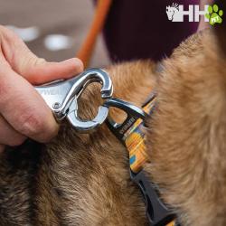 Correa Elastica Ruffwear Para Perros Roamer