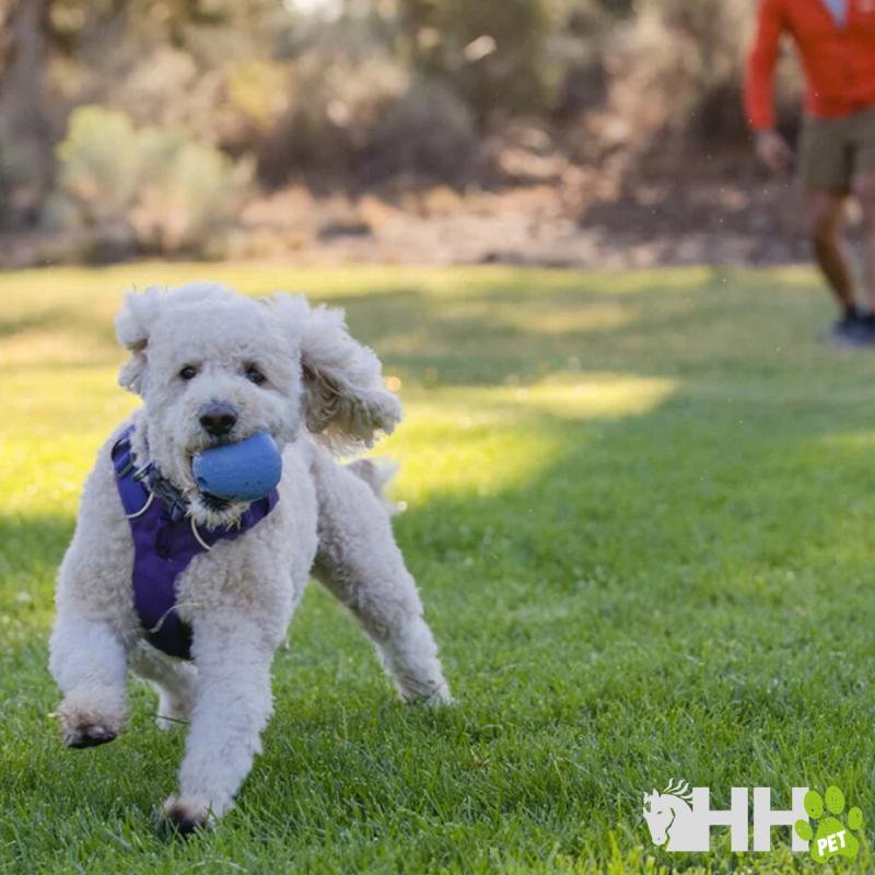 Juguete Para Lanzar Ruffwear Para Perros Huckama