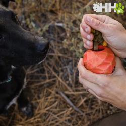 Piña Ruffwear Para Perros Gnawt-A-Cone