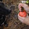 Piña Ruffwear Para Perros Gnawt-A-Cone