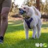 Juguete Para Lanzar Ruffwear Para Perros Turnup