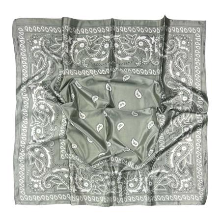 Pañuelo Flamenco Verde Adulto 600-510