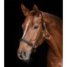 Cabezada De Cuero Waldhausen S-Line Classy