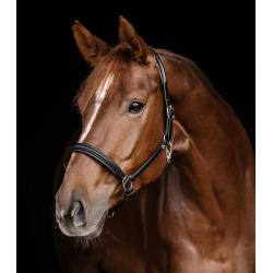 Cabezada De Cuero Waldhausen S-Line Classy