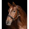 Cabezada De Cuero Waldhausen S-Line Classy