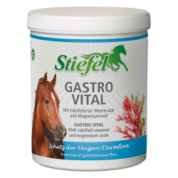 Stiefel Gastro Vital 1Kg