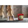 Bálsamo Para Cascos Kevin Bacon'S Hoof Dressing - The Green