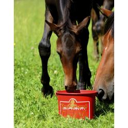 Suplemento Dietético Completo Kevin Bacon'S - Hoof Formula