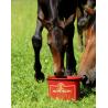 Suplemento Dietético Completo Kevin Bacon'S - Hoof Formula
