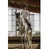 Polo Equithème 'Dorla'
