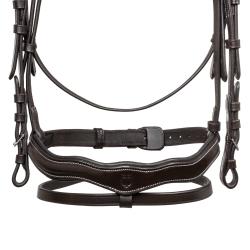 Anatomical Bridle With Logo