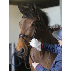 Guantes De Limpieza Belvoir® Carr & Day & Martin - Tack Cleaner