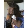 Guantes De Limpieza Belvoir® Carr & Day & Martin - Tack Cleaner