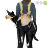 Kit Evacuacion Ruffwear Para Perros Backtrak