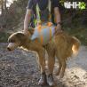 Kit Evacuacion Ruffwear Para Perros Backtrak