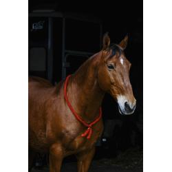 Collar Etológico Norton
