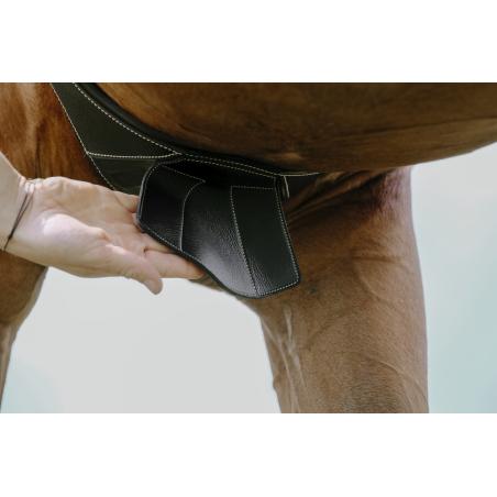 Cincha Barriguera Norton "Magnet"