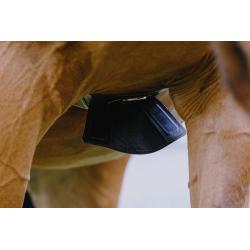 Cincha Barriguera Norton "Magnet"