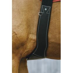 Cincha Barriguera Norton "Magnet"