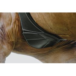 Cincha Barriguera Norton "Magnet"