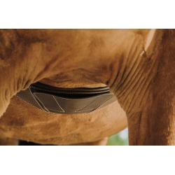 Cincha Barriguera Norton "Magnet"