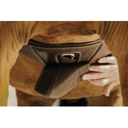 Cincha Barriguera Norton "Magnet"