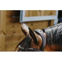 Cabezada De Montar Norton - Freedom