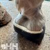 Malla Footpro Fibra De Vidrio