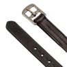 Stirrup Leather Ss Fitting