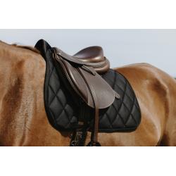 Mantilla Riding World - School