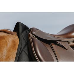 Mantilla Riding World - School