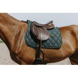 Mantilla Riding World - School