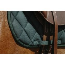 Mantilla Riding World - School