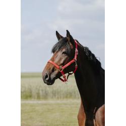 Cabezada De Nylon Riding World - Cushion