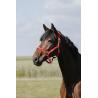 Cabezada De Nylon Riding World - Cushion