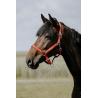 Cabezada De Nylon Riding World - Cushion