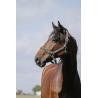 Cabezada De Nylon Riding World - Cushion