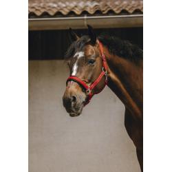 Cabezada De Nylon Equithème - Jacquard
