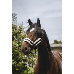 Cabezada De Nylon Equithème - Fashion