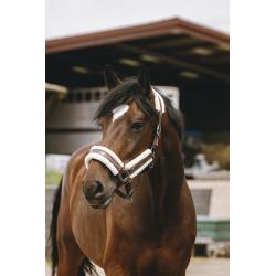 Cabezada De Nylon Equithème - Fashion