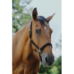 Cabezada De Nylon Equithème - Protector