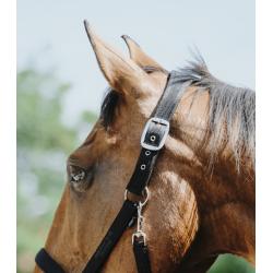 Cabezada De Nylon Equithème - Protector