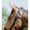 Cabezada De Nylon Equithème - Protector