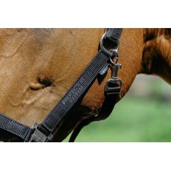 Cabezada De Nylon Equithème - Protector