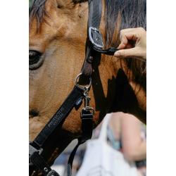 Cabezada De Nylon Equithème - Protector