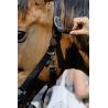 Cabezada De Nylon Equithème - Protector